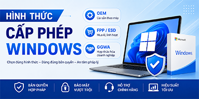 Hình Thức Cấp Phép Windows Bản Quyền Cho Doanh Nghiệp: OEM, FPP/ESD Hay GGWA?